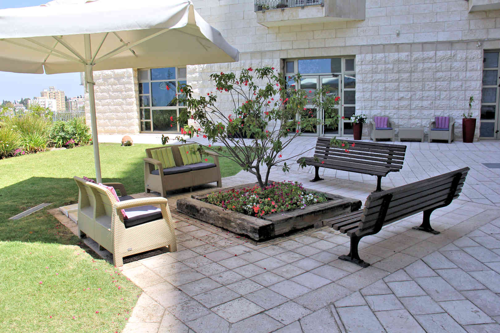
						בית הורים פסגת חן – דיור מוגן עם מחלקה סיעודית בחיפה חצר					