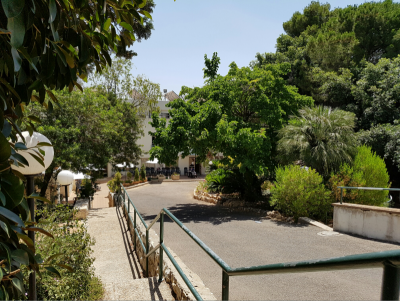 בית אבות בחיפה