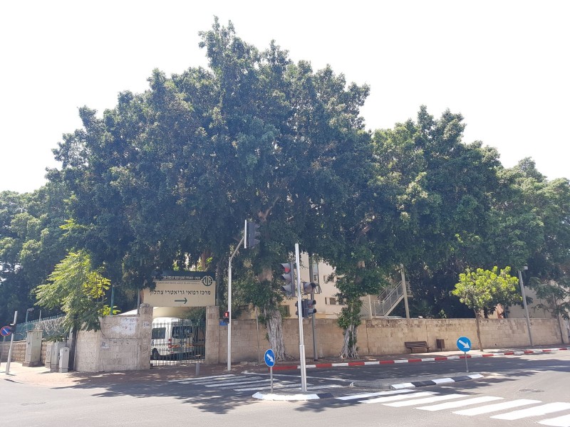 
						צהלון – בית אבות בירושלים כניסה					
