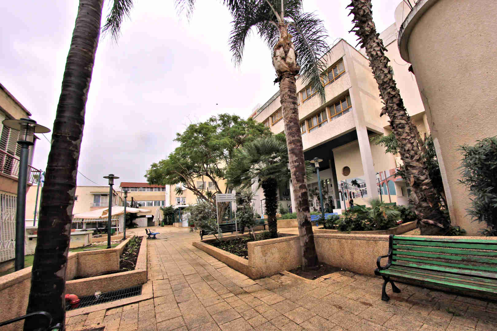 
						מרכז רפואי שיקומי רעות – בית אבות בתל אביב-יפו כניסה					
